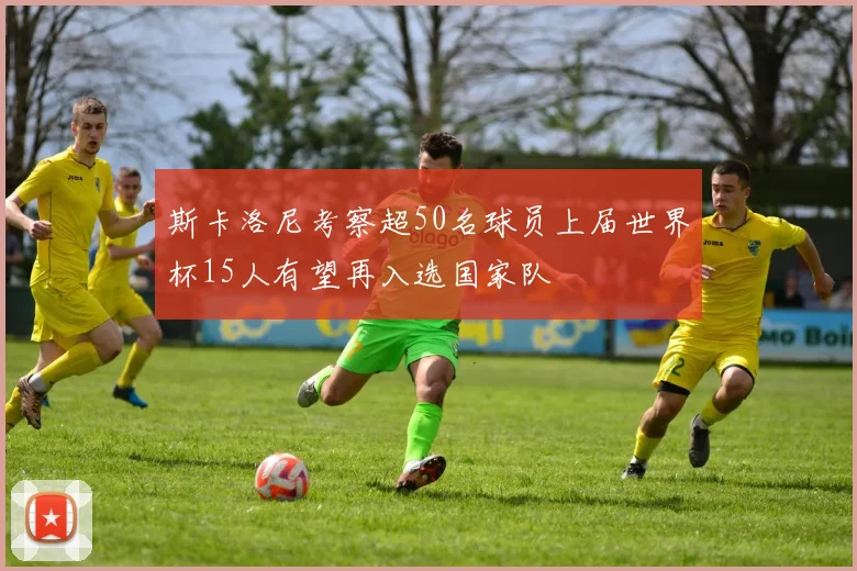 斯卡洛尼考察超50名球员上届世界杯15人有望再入选国家队