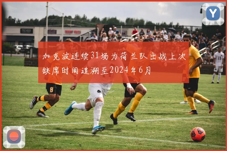 加克波连续31场为荷兰队出战上次缺席时间追溯至2024年6月